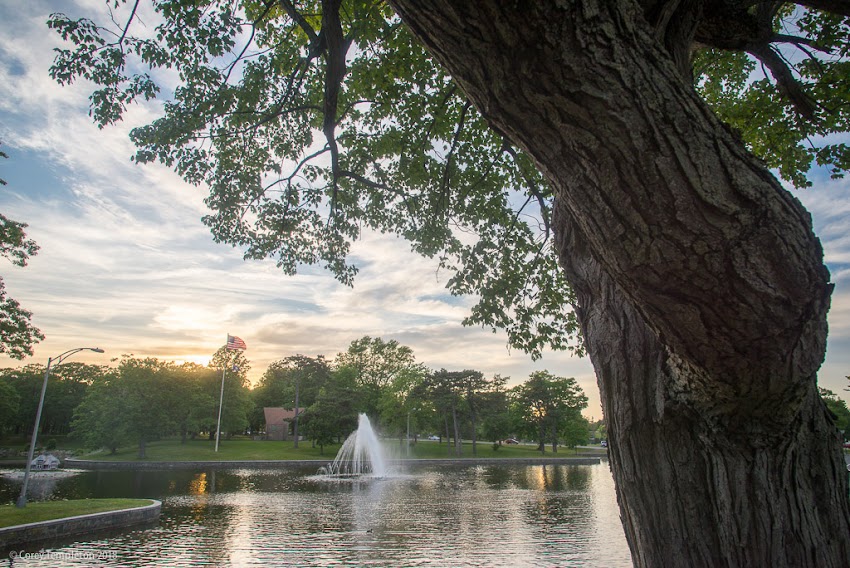 Portland, Maine USA June 2018 photo by Corey Templeton. A recent evening stroll past Deering Oaks Park. At one time the pond here was connected to Back Cove and would fill and drain with the tides. 