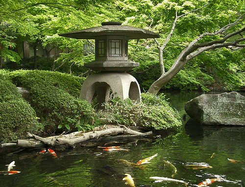  japanese water garden design 