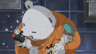 ワンピースアニメ 頂上戦争編 490話 ベポ  かわいい BEPO | ONE PIECE Episode 490