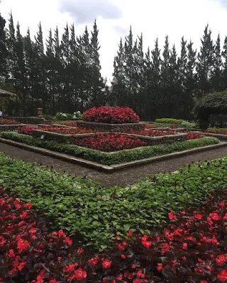 merlimba garden bogor