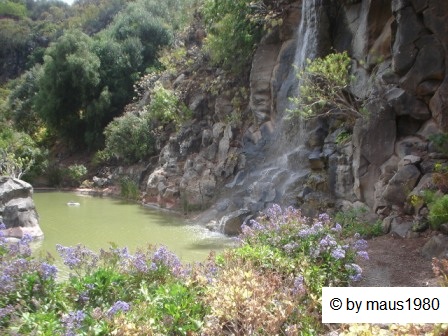 Jardín Botánico Canario Viera y Clavijo