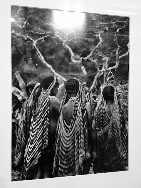 'GÉNESIS' BY SEBASTIÃO SALGADO | A NATUREZA 'AS IS'