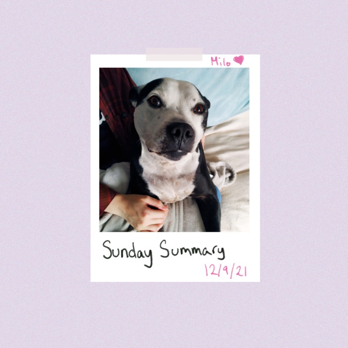 Header image with a Polaroid photo of a black and white dog staring at the camera. Hand written note saying Milo and then below the Polaroid it says Sunday Summary 12/09/21