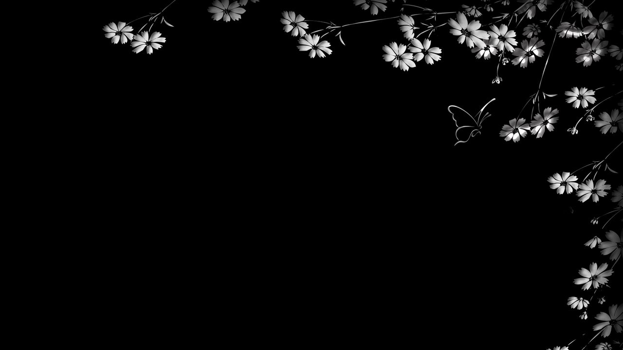 Wallpaper Butterfly Flower Black Background