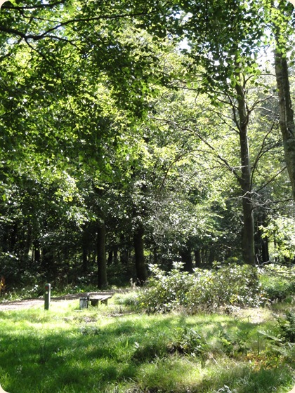 Knudmosen