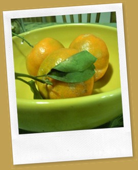 DSCN3513