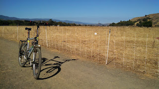 Palo Alto Bicycles Consumer Experience