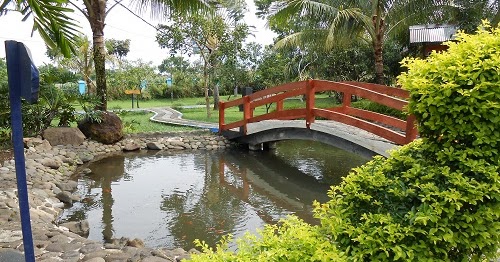 Adenium: Sepotong Pemandangan di Taman Reptil