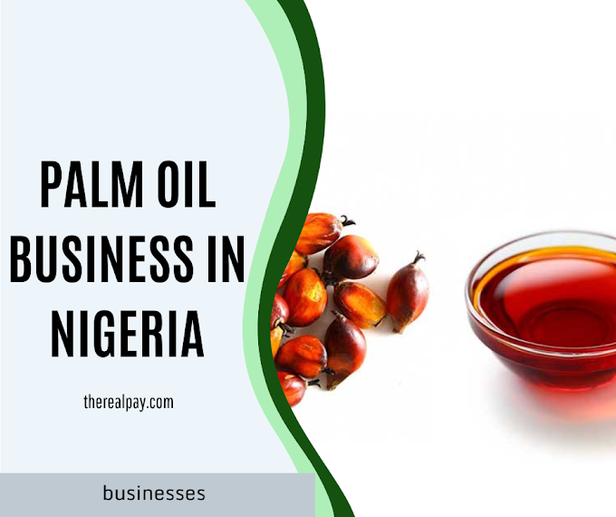 Palm Oil Business in Nigeria