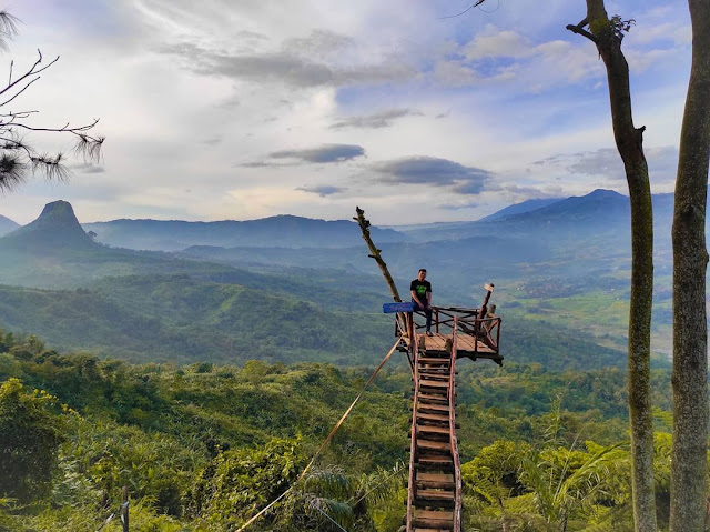 Jajar Gunung Kinayungan Sukamakmur Bogor