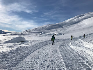 Grimsellpass con gli slittini