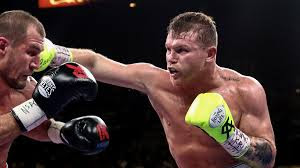 Canelo VS. Dmitry inside ring images