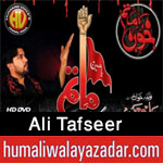 http://www.humaliwalayazadar.com/2012/11/ali-tafseer-nohay-2008-2013.html