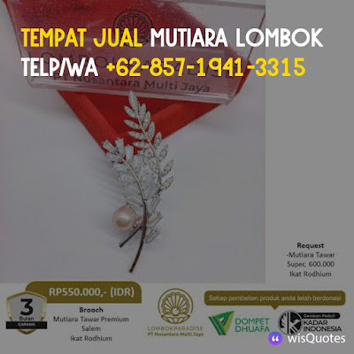 Anting Mutiara Emas Putih, Anting Mutiara Asli, Anting Mutiara Asli Dari Lombok, Anting Mutiara Lombok Asli, Anting Mutiara Laut Asli