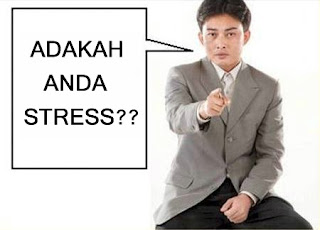 Bunga Ros Putih: 8 soalan berkaitan stress