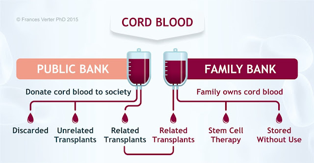 stem cell banking malaysia