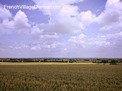 french village diaries dog walk deux sevres poitou charentes