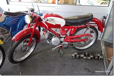 337-DSC05294