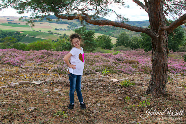 Heide bei Siefersheim in Rheinhessen