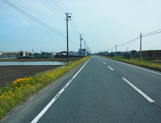RIMG0805