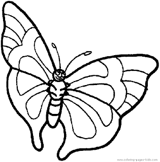 butterfly-coloring-pages-and-printable