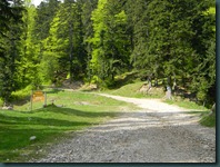 DSCN2810