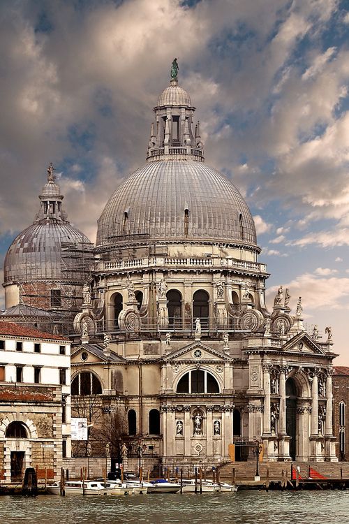 Feed Ratio - Venice - Italy