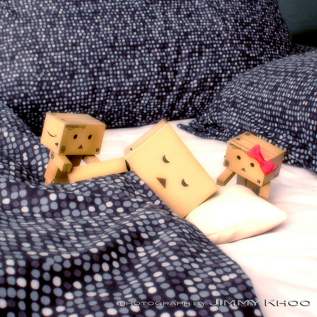 Sejarah Boneka Kardus, Danbo - My Life, My Story