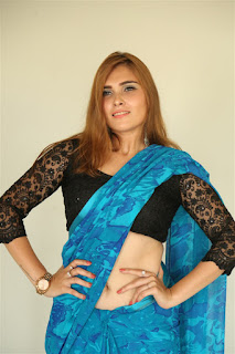 Alexius Macleod Saree Photos at Darpanam Movie Press Meet