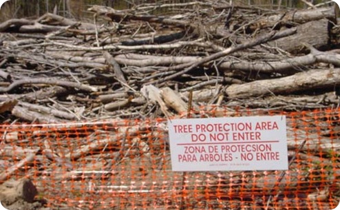 proteccion arboles