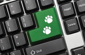 https://www.petfoodindustry.com/articles/9145-e-commerce-in-mexico-reconfiguring-prices-in-pet-food?v=preview