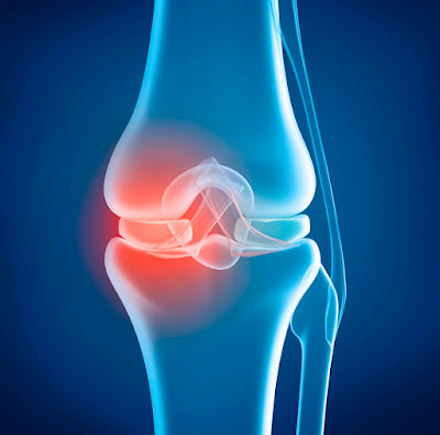 How Stem Cell Therapy for Knees Research Can Help You Improve Your Health.