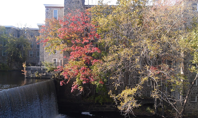 Colorful trees near waterfall