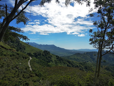 pantan terong aceh indonesia