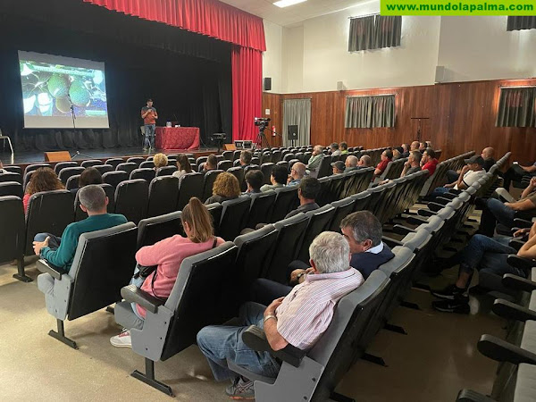 Tijarafe celebra sus segundas Jornadas del aguacate con éxito de asistencia