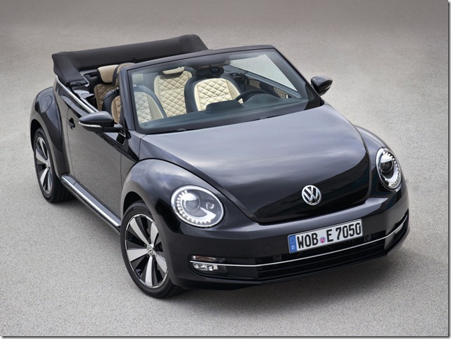 beetle1 beetle1