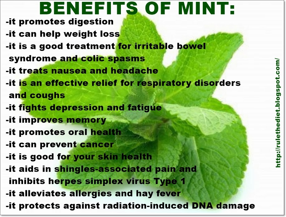 Mint Leaf Health Benefits