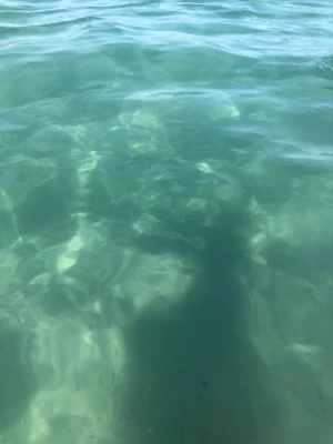 サルデーニャ島のカリアリの海