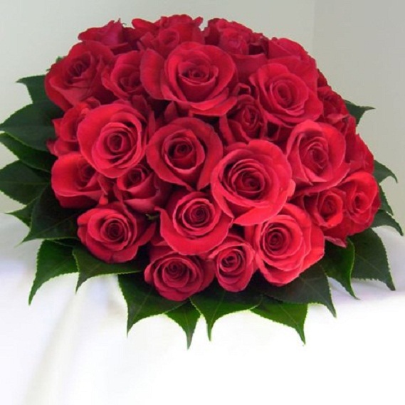 50+most+beautiful+roses+bouquet+ +Beautiful+Rose+Bouquet+ +varsitylakesflorist