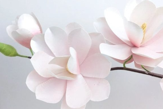Magnolia Paper Flower 3D SVG Crafts