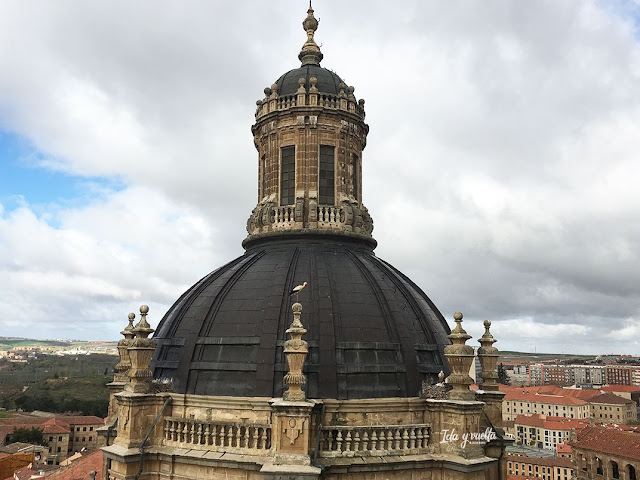 Torres Clerecía cúpula