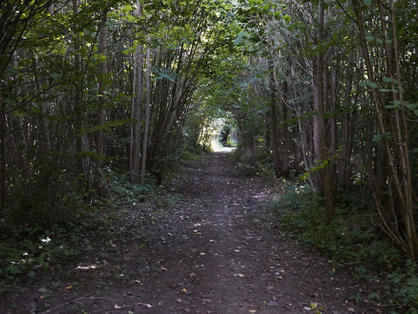 Landgoed Rijnwijck