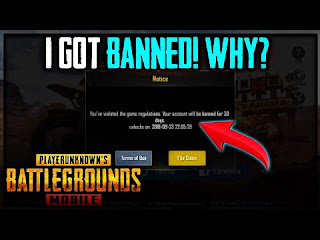 How Can You Protect Your PUBG Account From Ban - Pro Tech ... - 
