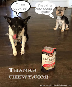 A huge variety of dogs treats are available on chewy.com