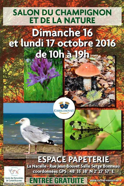 SALON DU CHAMPIGNON Corbeil Essonnes 2016