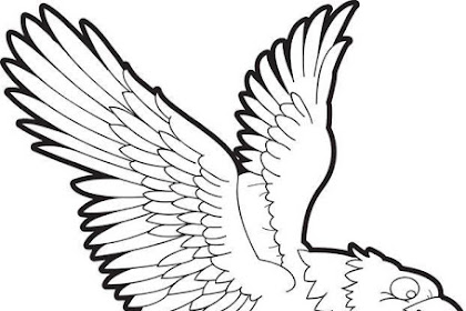 Contoh Gambar Gambar Mewarnai Burung Elang - KataUcap