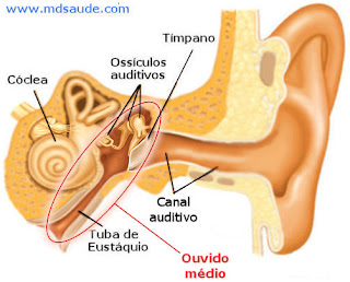 Otite média - Ouvido médio