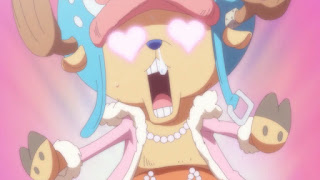 ワンピースアニメ ゾウ編 チョッパー | ONE PIECE ZOU ARC