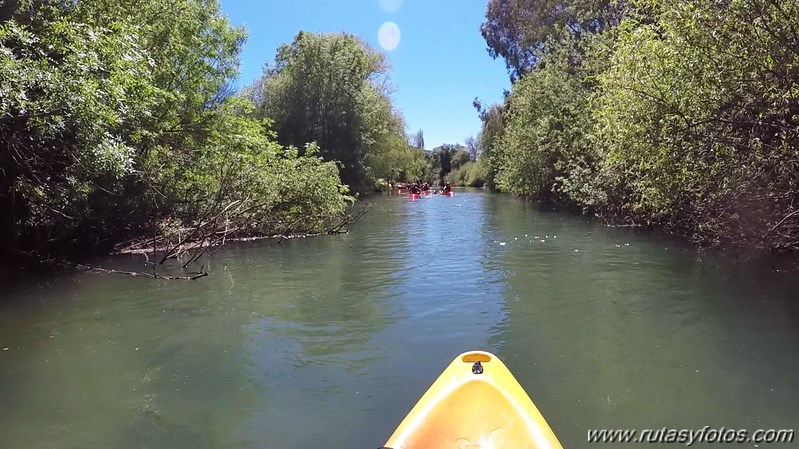 Kayak Rio Guadiaro