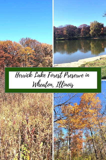 A Nest of Trails, Lake Views and Forest Treasures at Herrick Lake Forest Preserve in Wheaton, Illinois